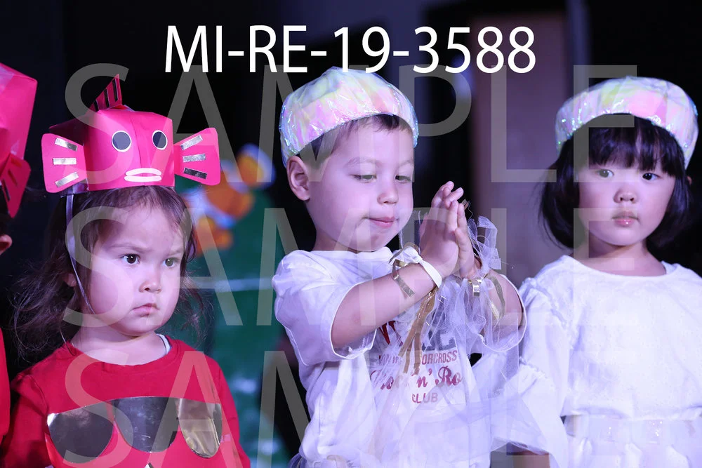 MI-RE-19-3588.jpg