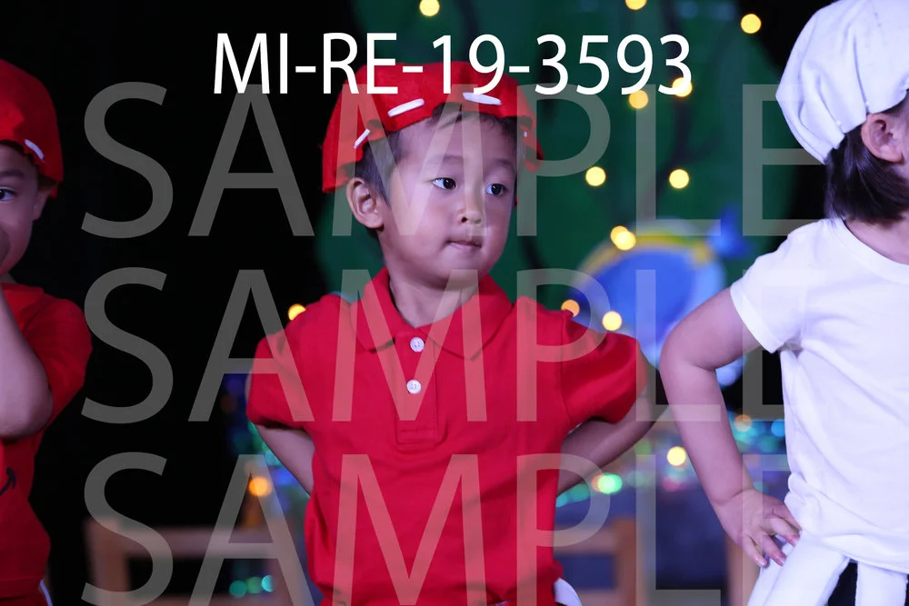 MI-RE-19-3593.jpg