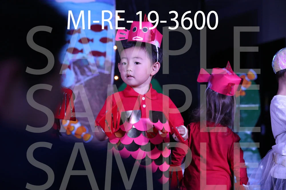 MI-RE-19-3600.jpg