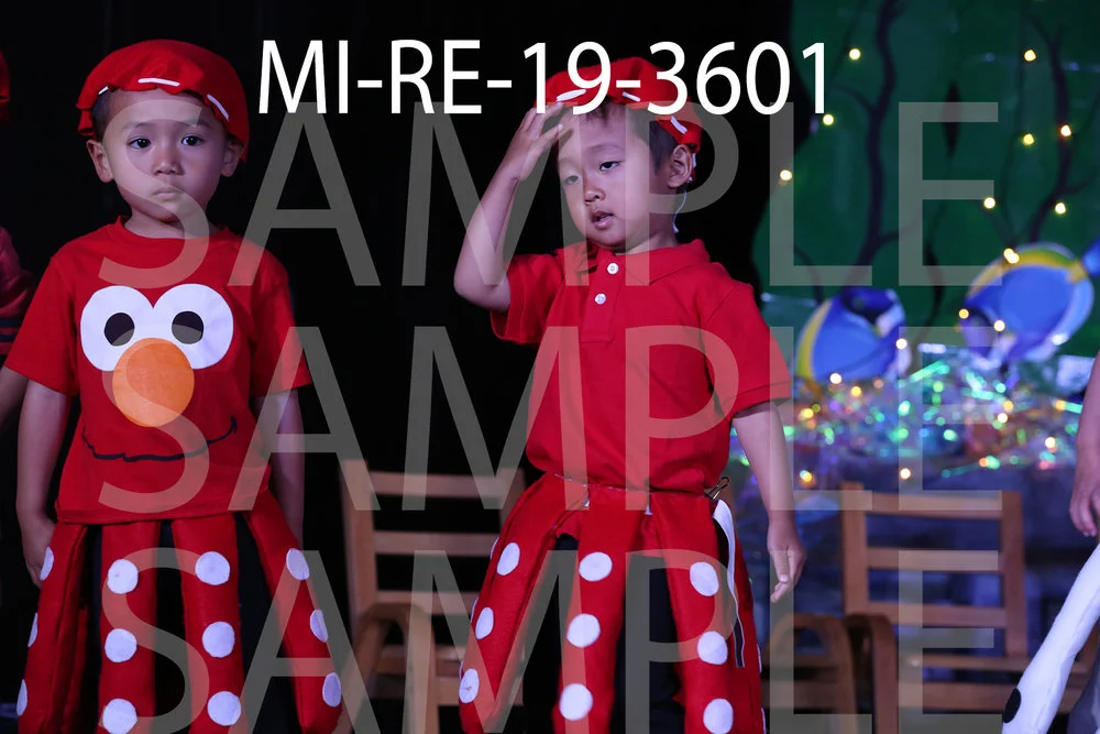 MI-RE-19-3601.jpg