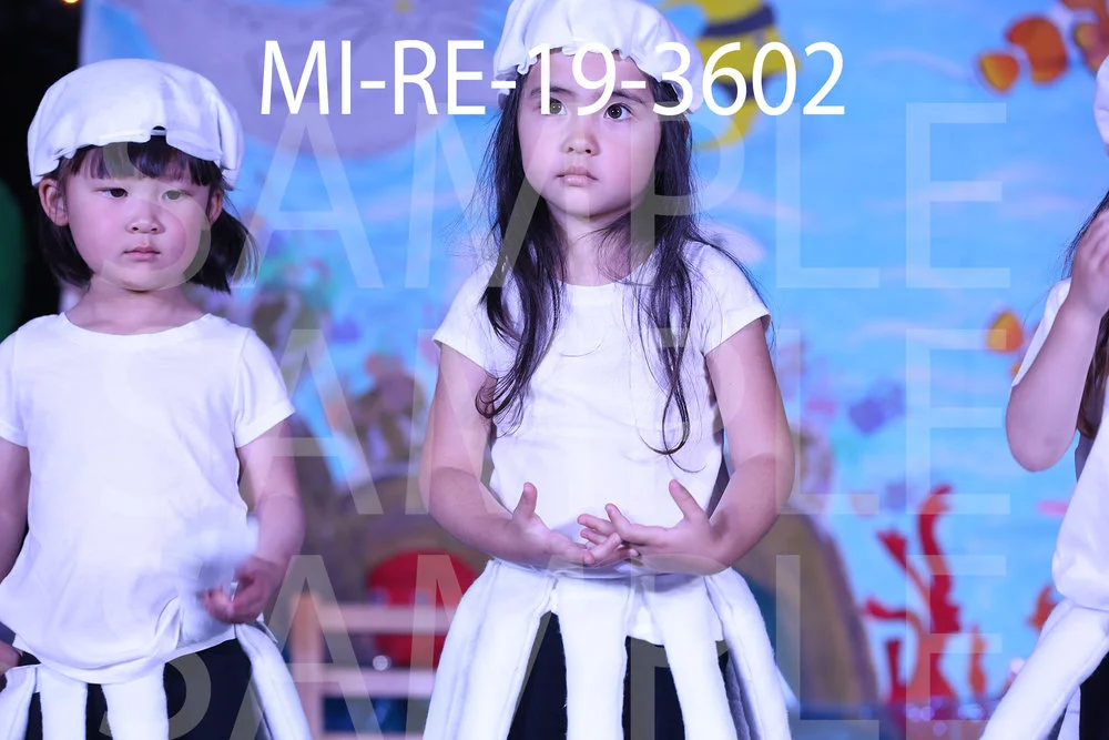 MI-RE-19-3602.jpg