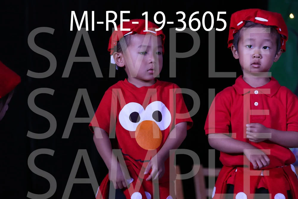 MI-RE-19-3605.jpg