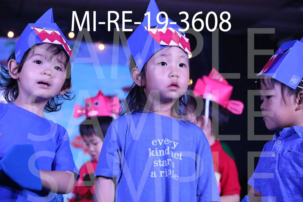 MI-RE-19-3608.jpg
