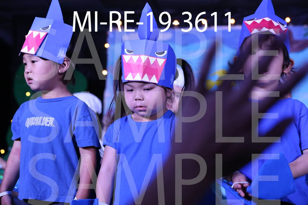 MI-RE-19-3611.jpg
