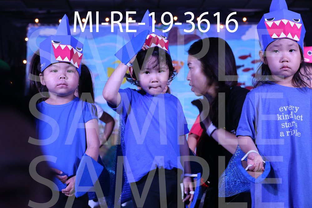 MI-RE-19-3616.jpg
