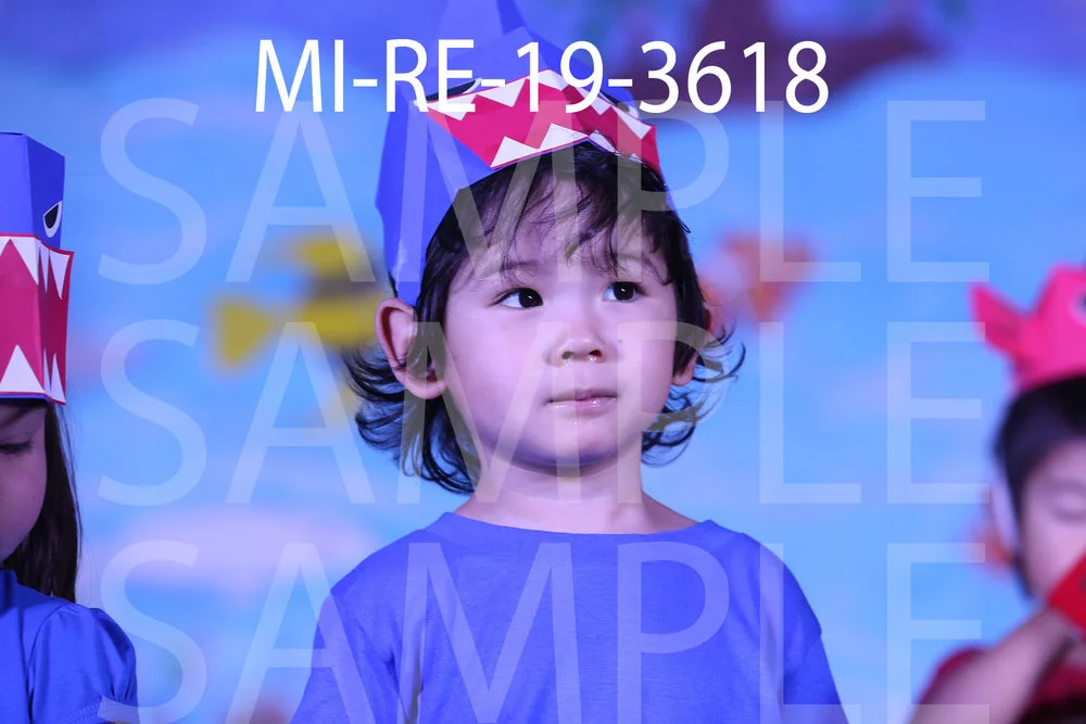 MI-RE-19-3618.jpg