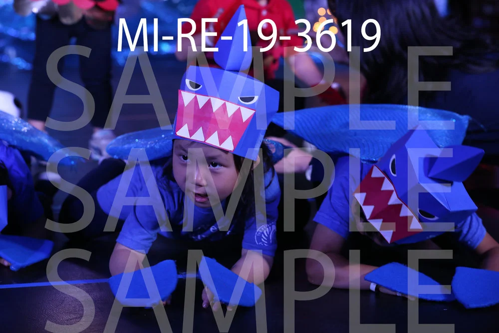 MI-RE-19-3619.jpg