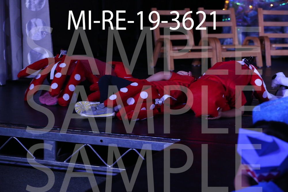MI-RE-19-3621.jpg