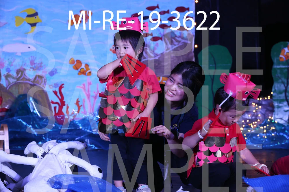 MI-RE-19-3622.jpg