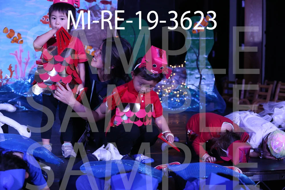 MI-RE-19-3623.jpg