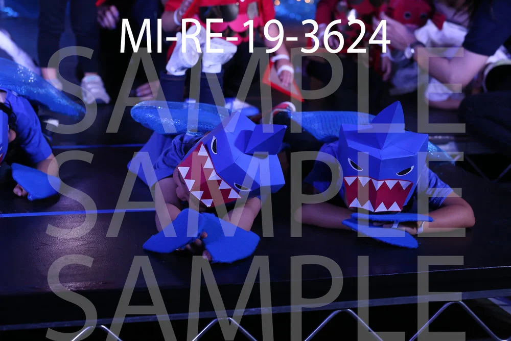 MI-RE-19-3624.jpg