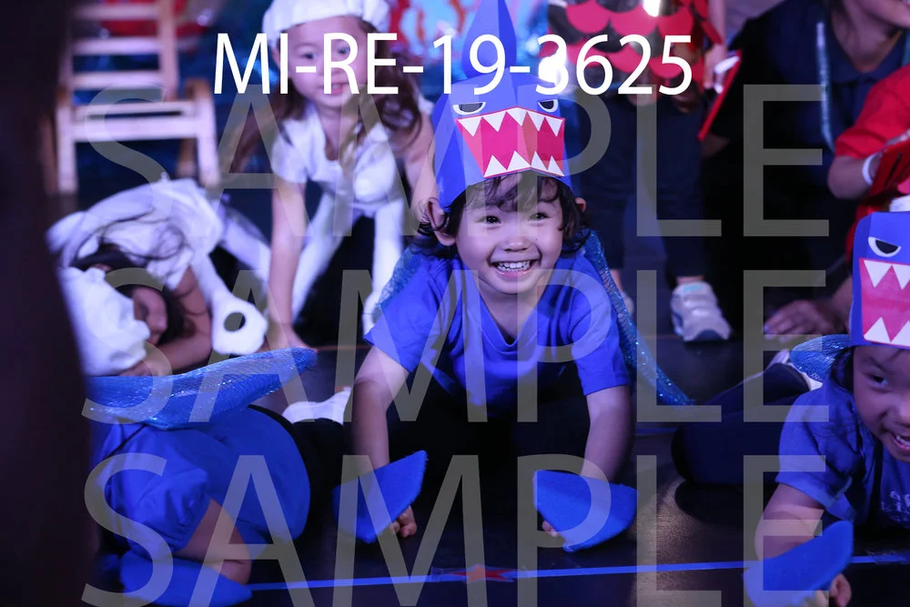 MI-RE-19-3625.jpg