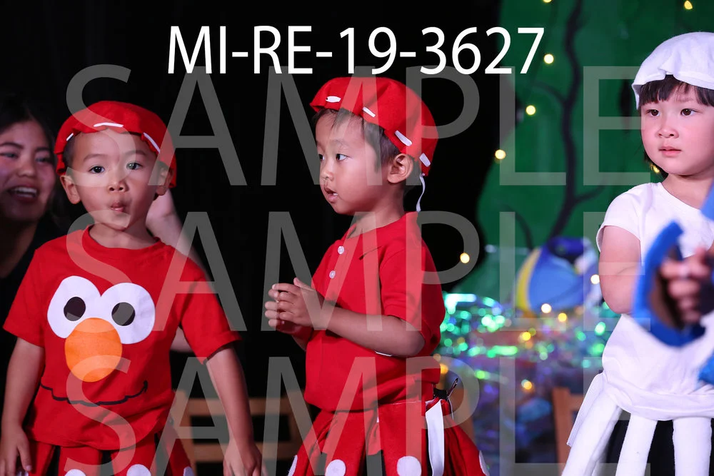 MI-RE-19-3627.jpg