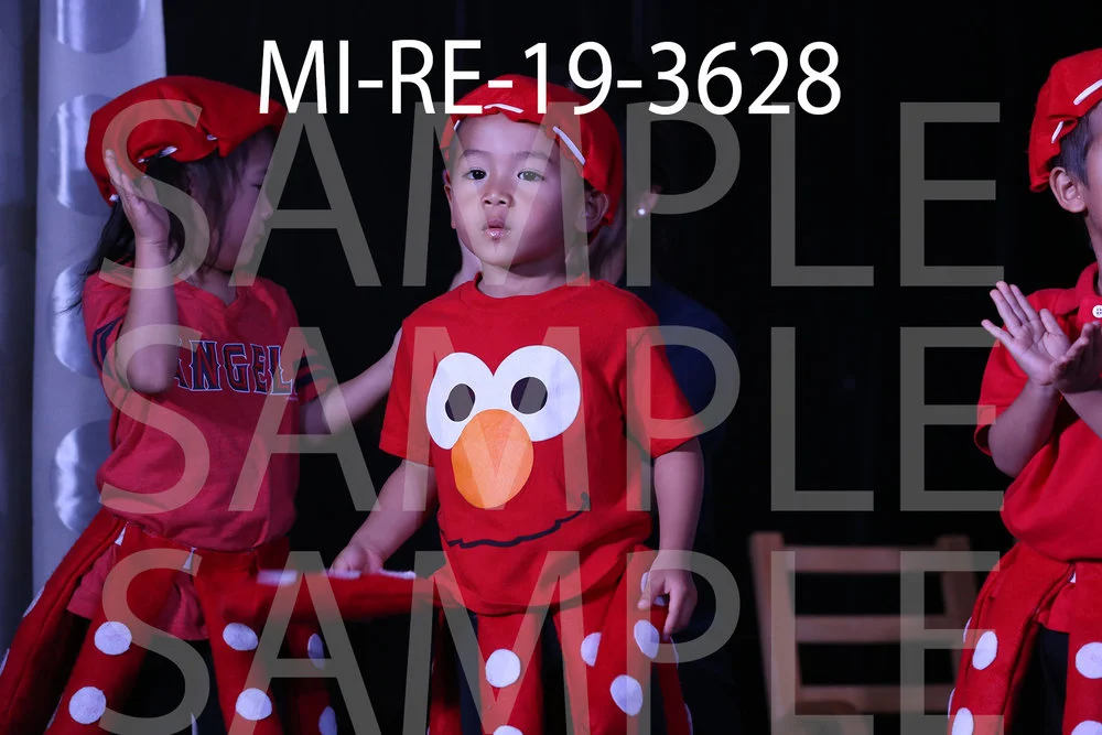 MI-RE-19-3628.jpg