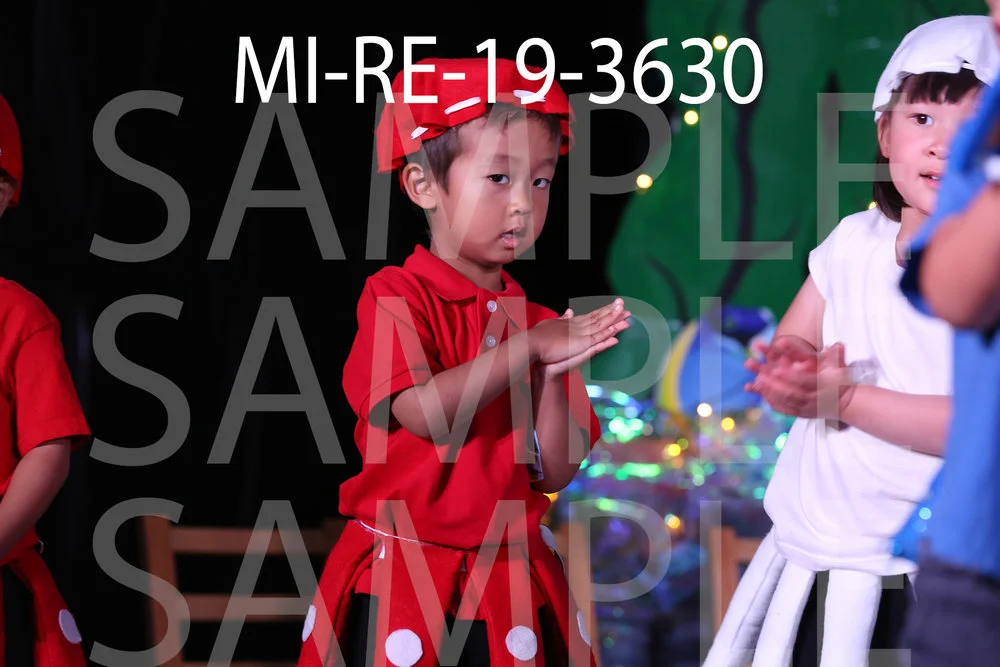 MI-RE-19-3630.jpg