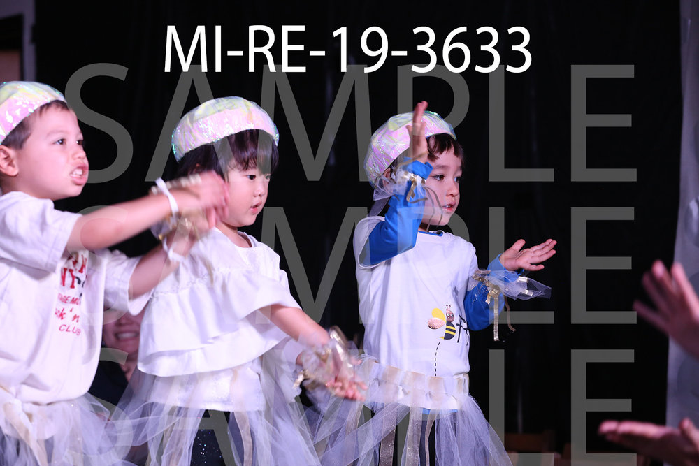 MI-RE-19-3633.jpg