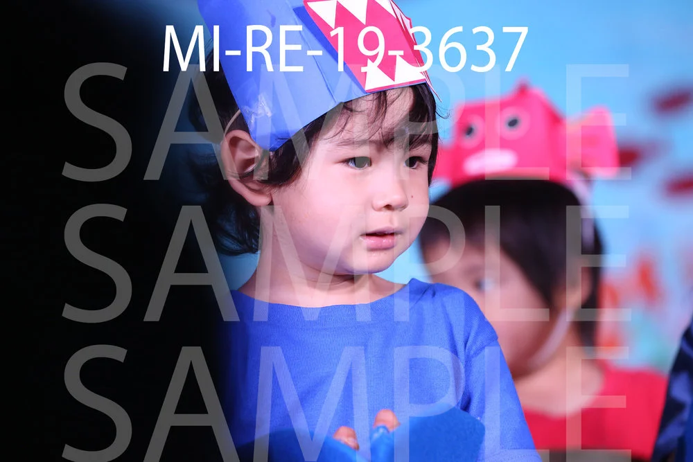 MI-RE-19-3637.jpg