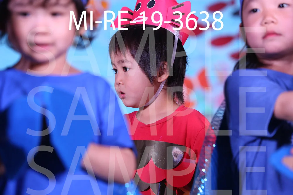 MI-RE-19-3638.jpg