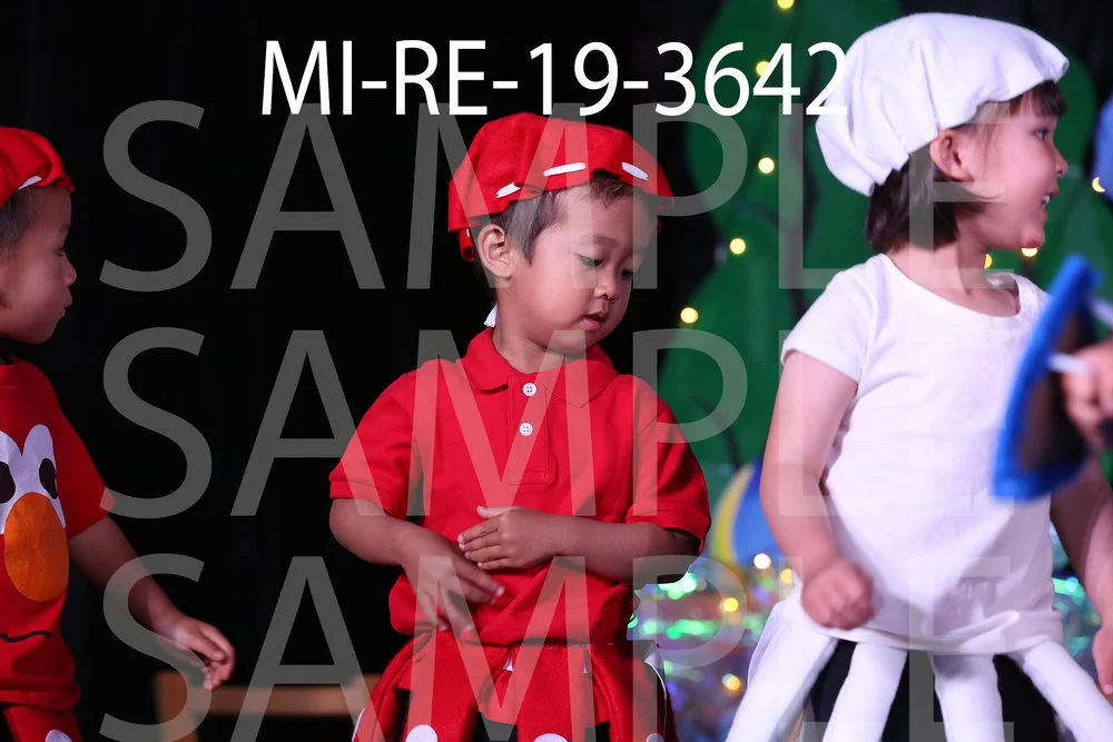 MI-RE-19-3642.jpg