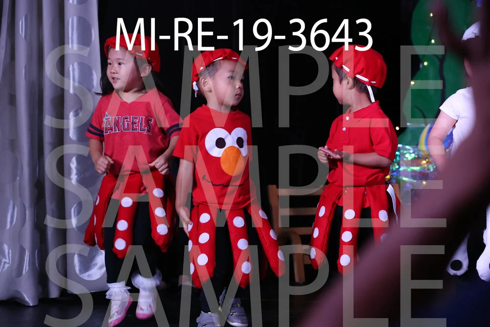 MI-RE-19-3643.jpg