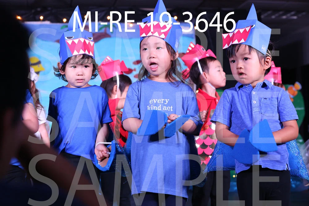 MI-RE-19-3646.jpg