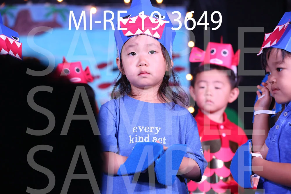 MI-RE-19-3649.jpg