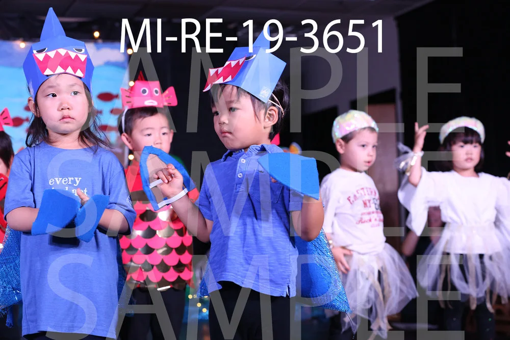 MI-RE-19-3651.jpg