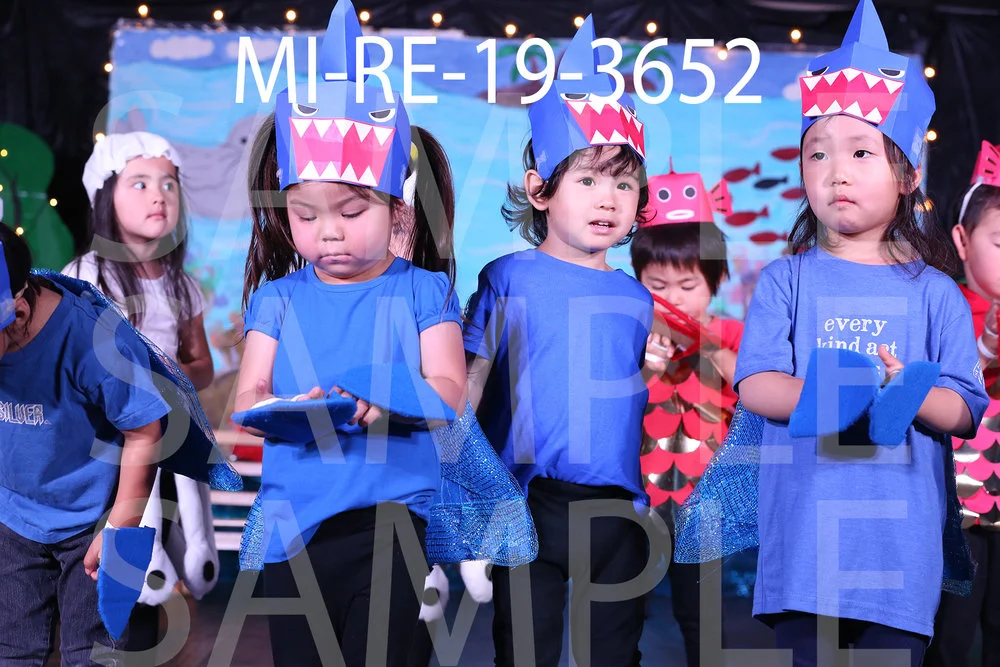 MI-RE-19-3652.jpg