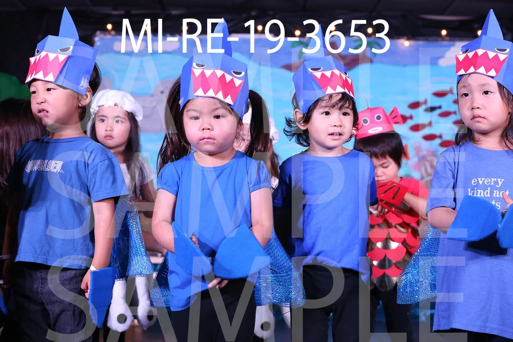 MI-RE-19-3653.jpg