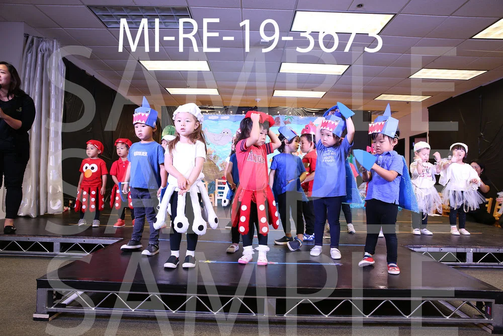 MI-RE-19-3673.jpg
