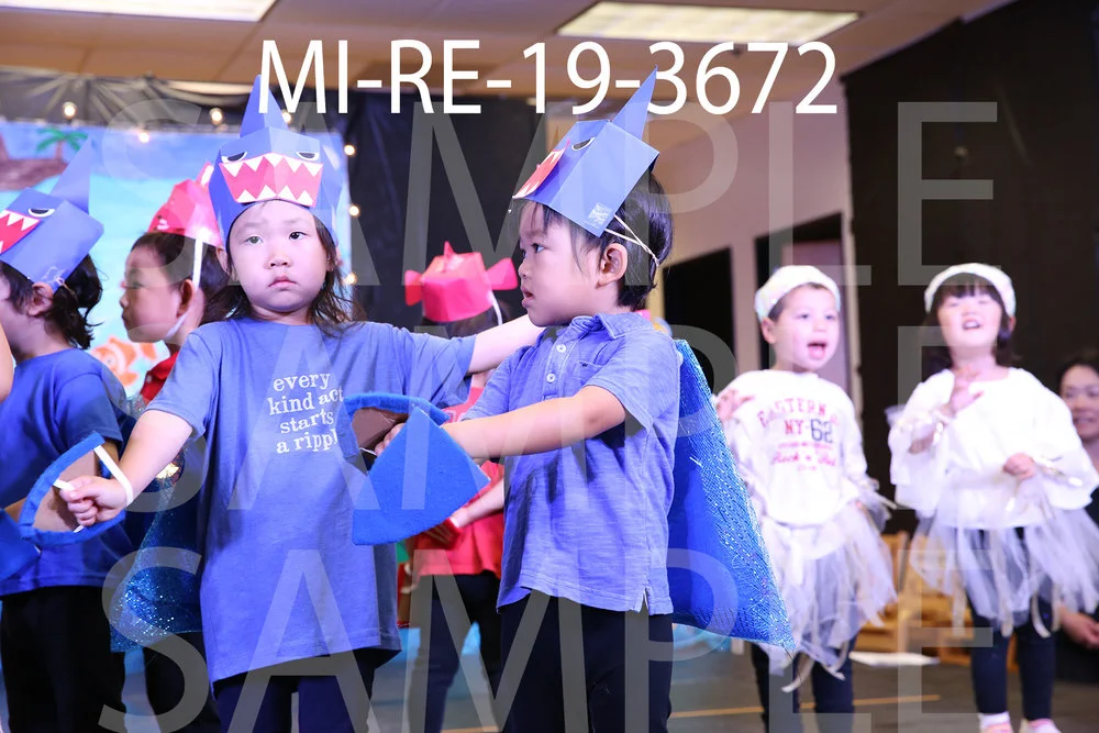 MI-RE-19-3672.jpg