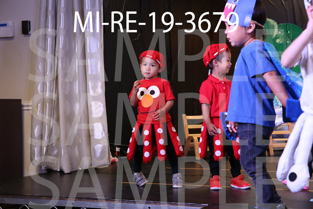 MI-RE-19-3679.jpg