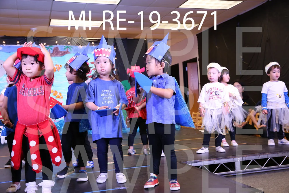 MI-RE-19-3671.jpg