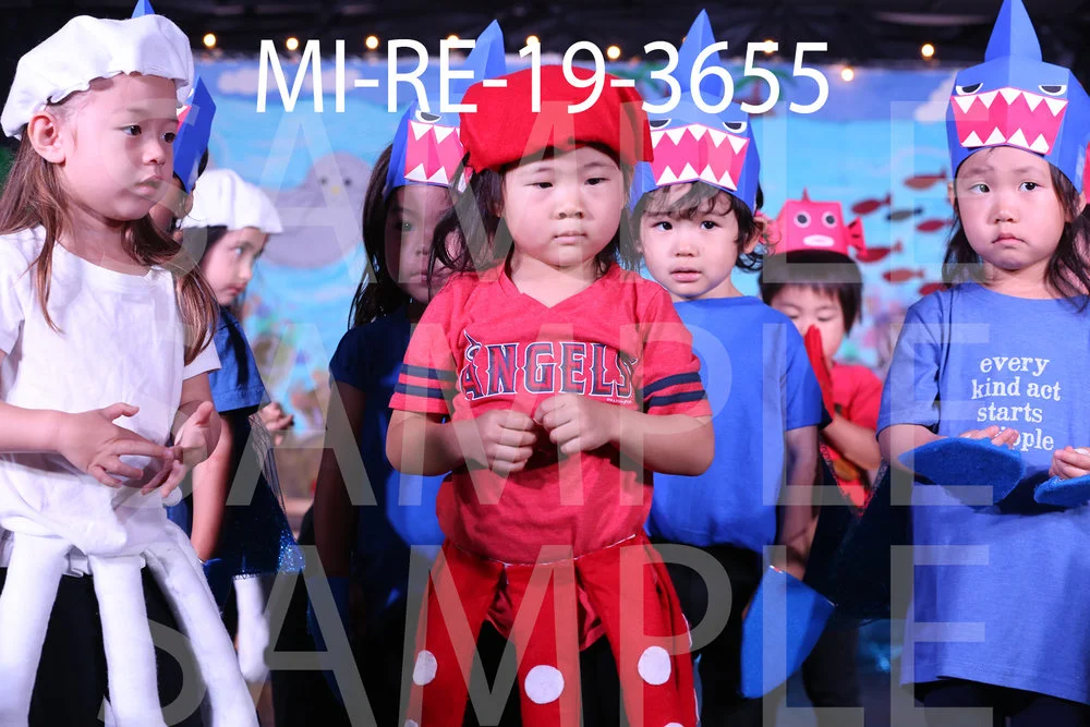 MI-RE-19-3655.jpg
