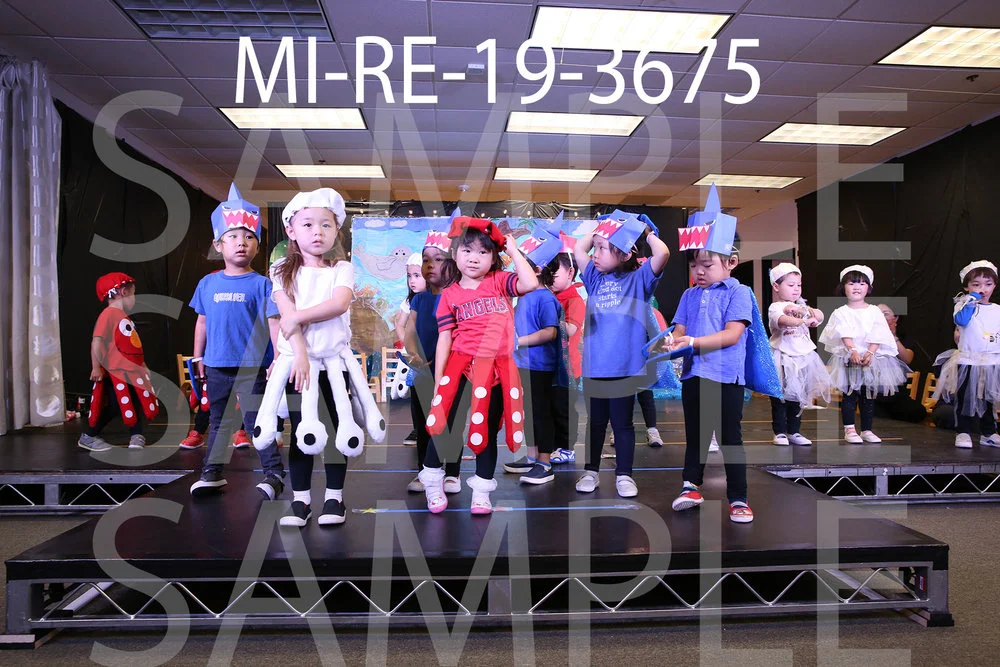 MI-RE-19-3675.jpg