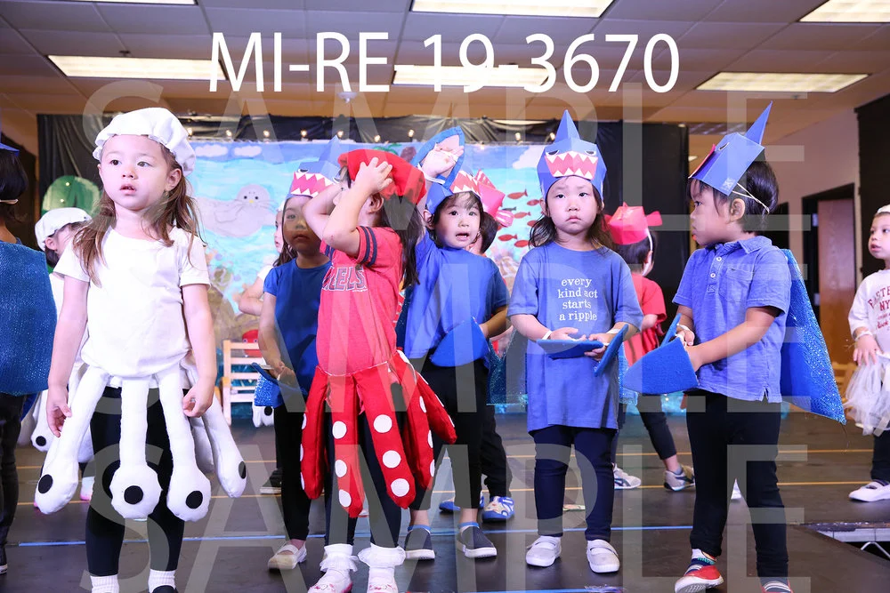 MI-RE-19-3670.jpg