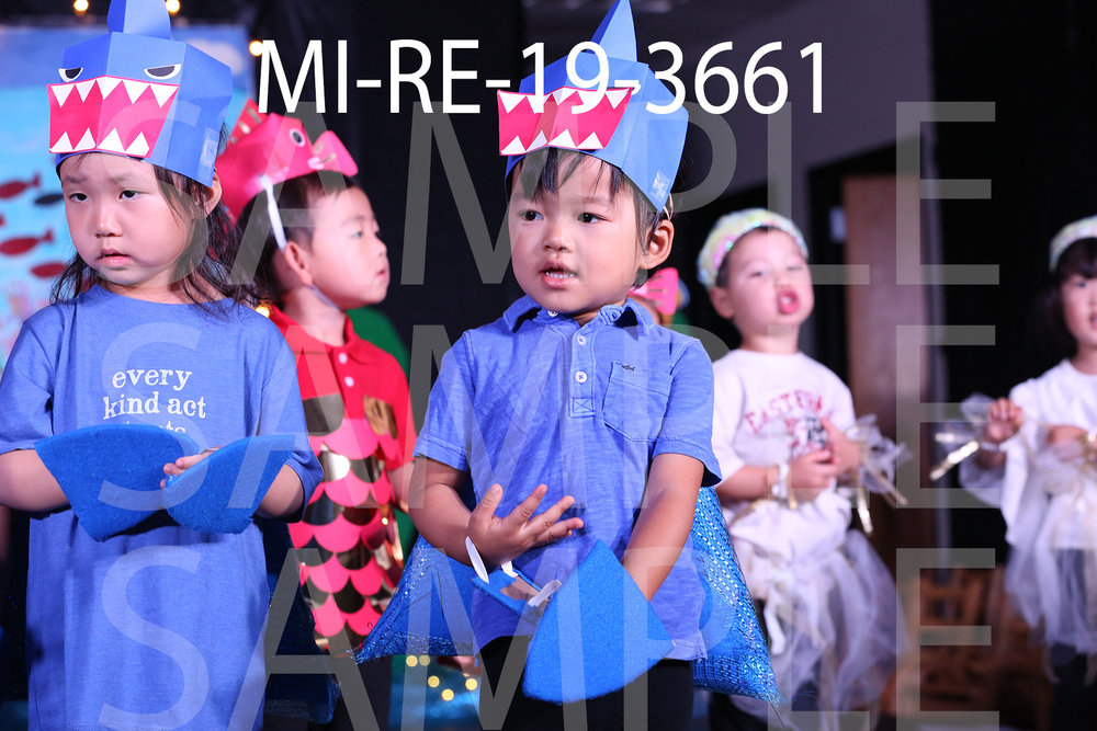 MI-RE-19-3661.jpg