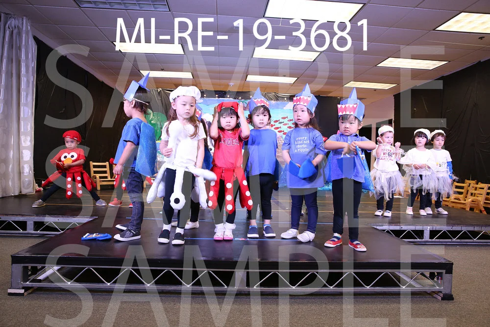 MI-RE-19-3681.jpg