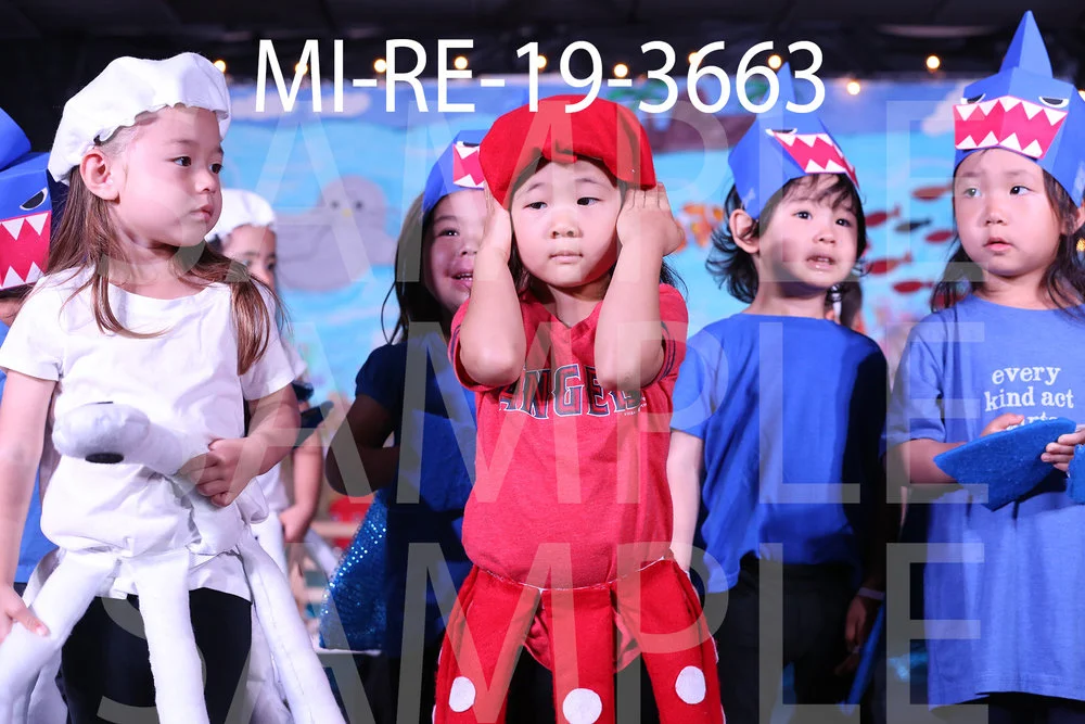 MI-RE-19-3663.jpg