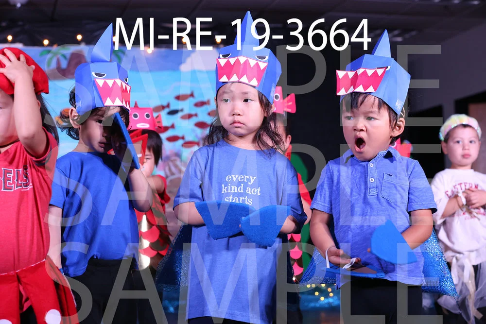 MI-RE-19-3664.jpg