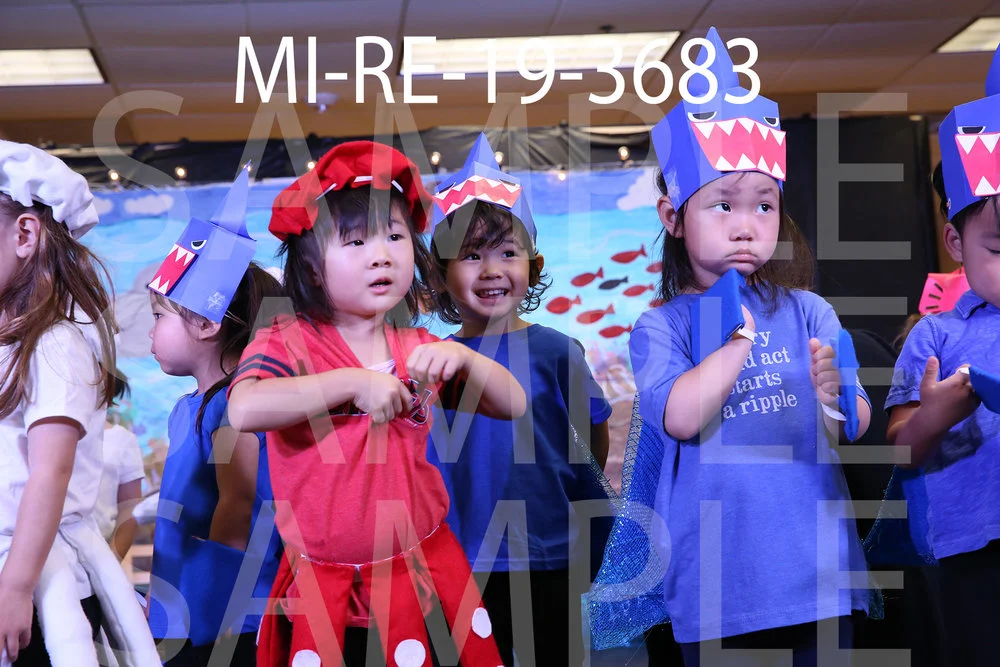 MI-RE-19-3683.jpg