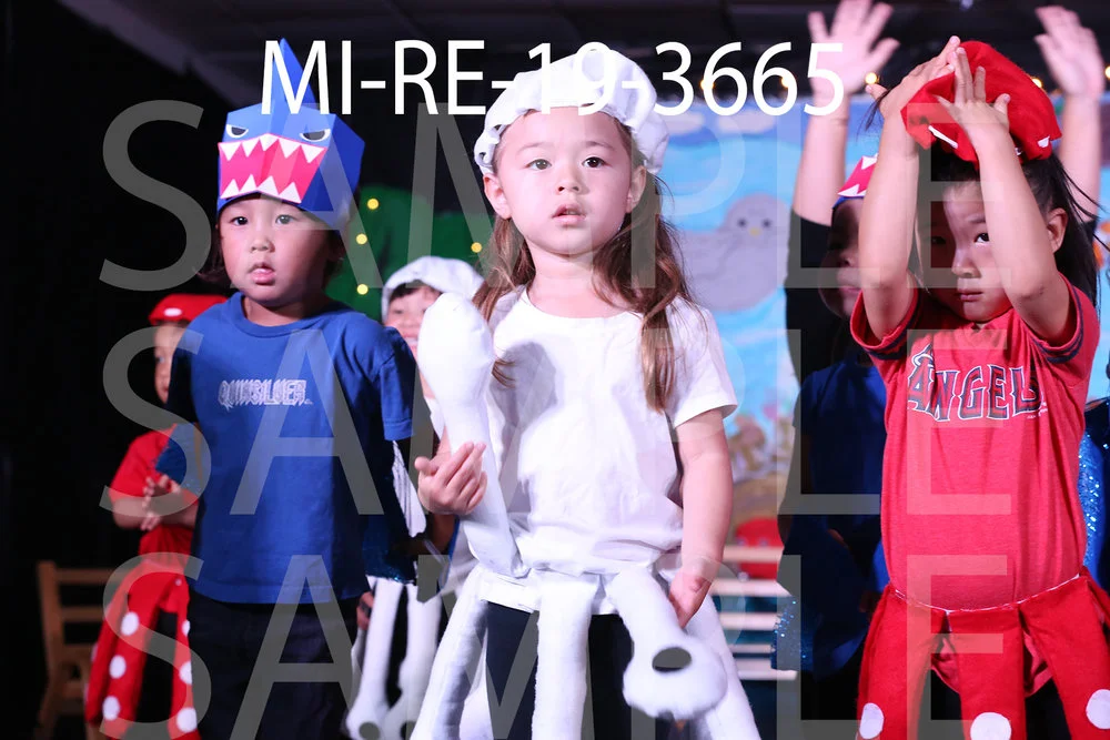 MI-RE-19-3665.jpg