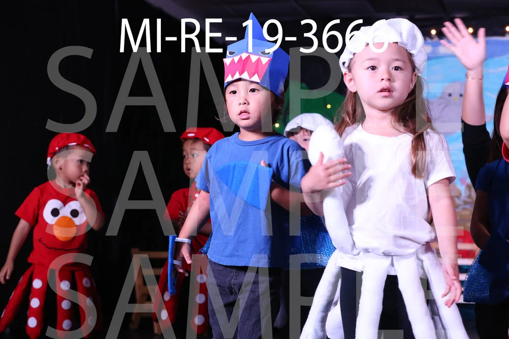 MI-RE-19-3666.jpg
