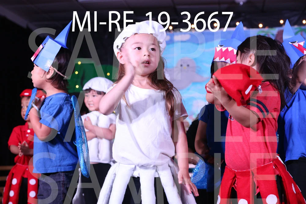 MI-RE-19-3667.jpg