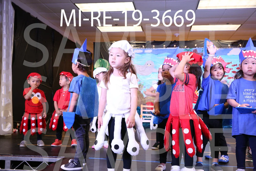 MI-RE-19-3669.jpg