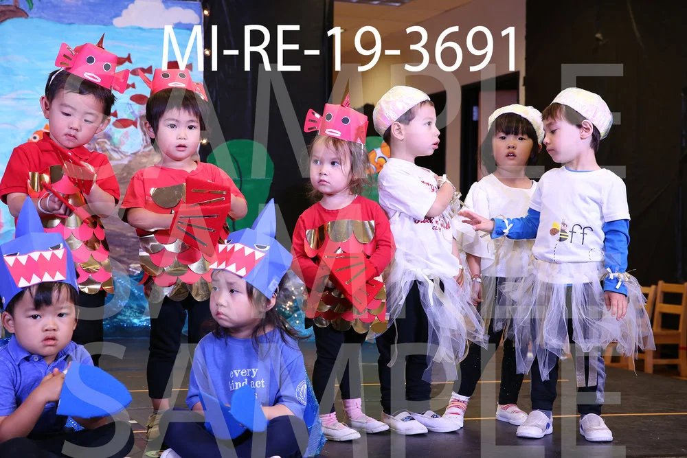 MI-RE-19-3691.jpg