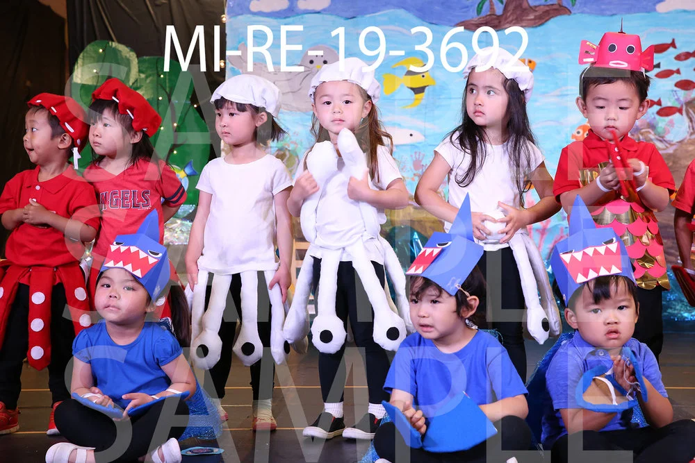 MI-RE-19-3692.jpg