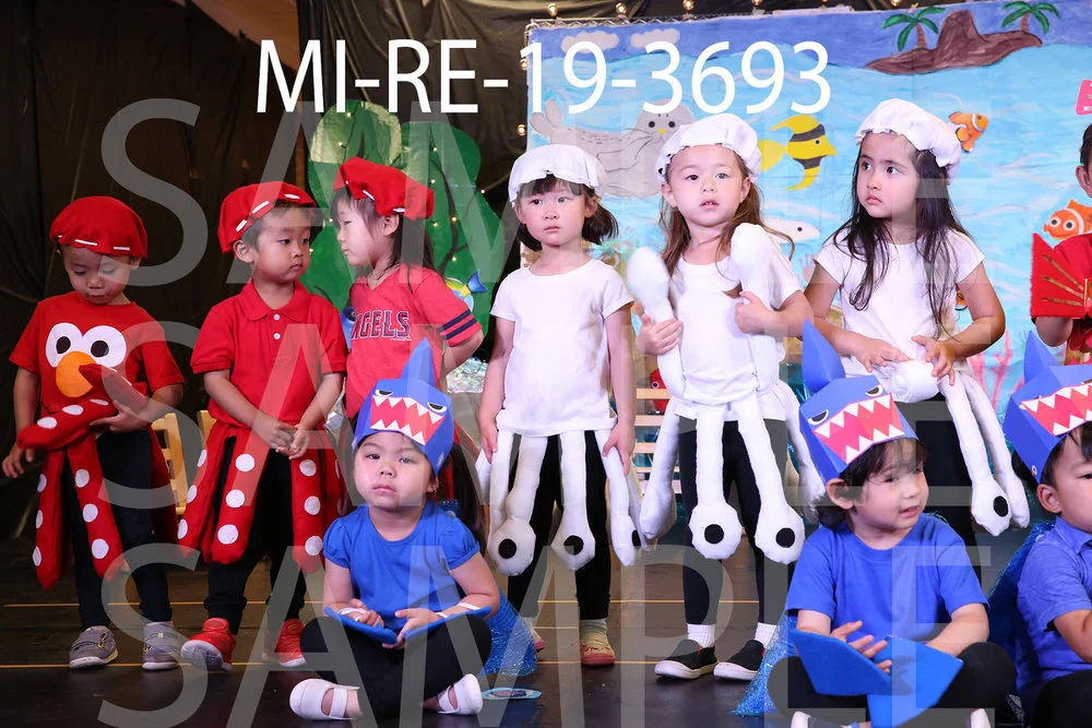 MI-RE-19-3693.jpg