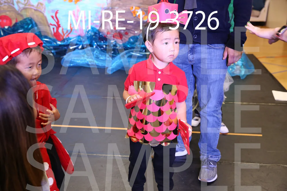 MI-RE-19-3726.jpg