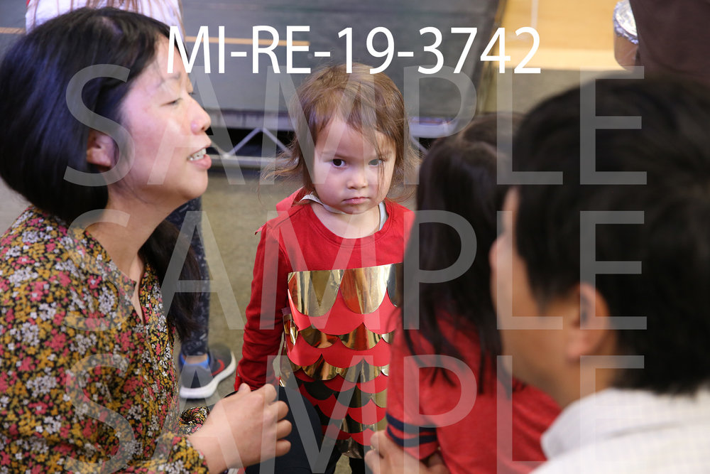 MI-RE-19-3742.jpg